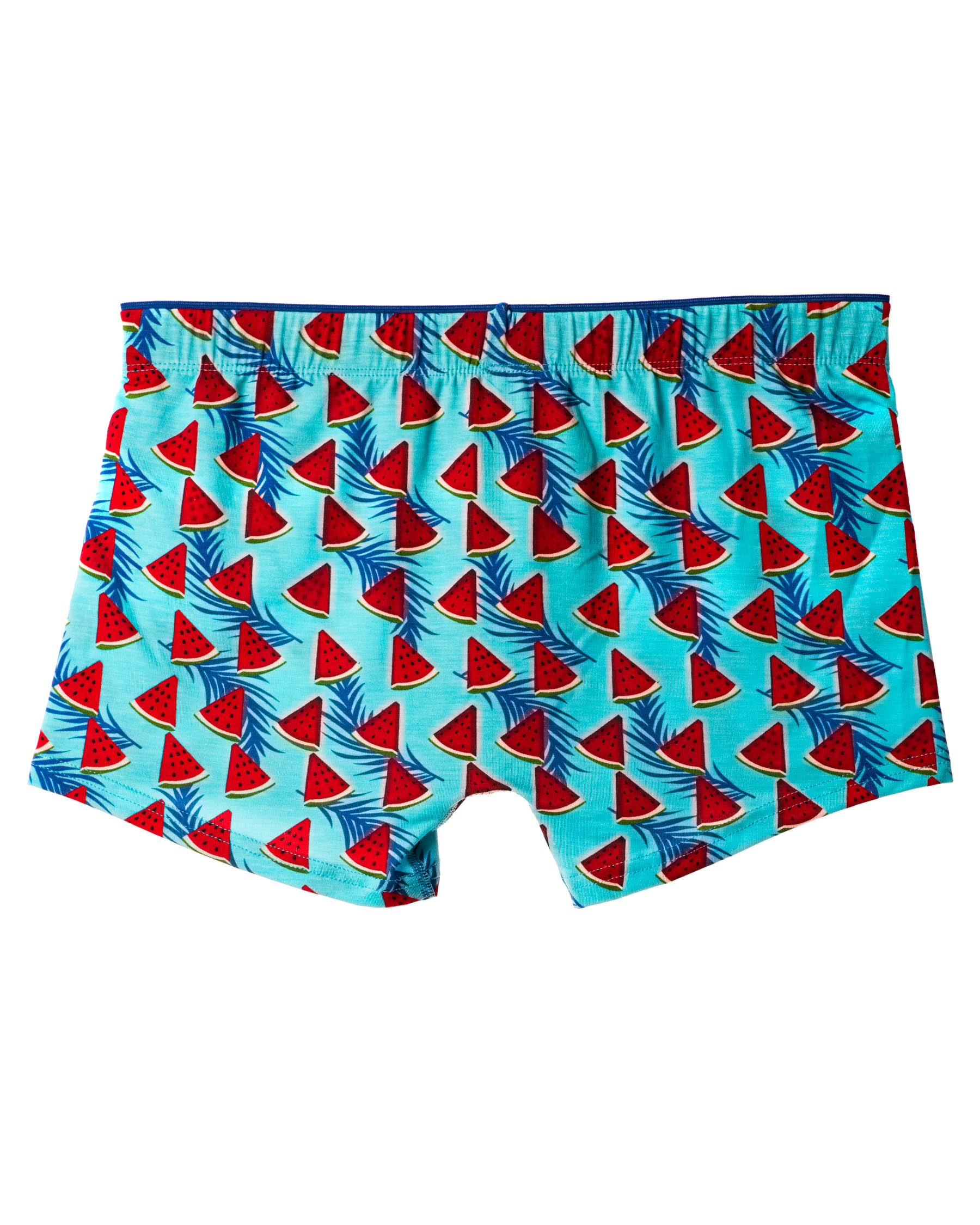 3505-blue-watermelon-simple-back